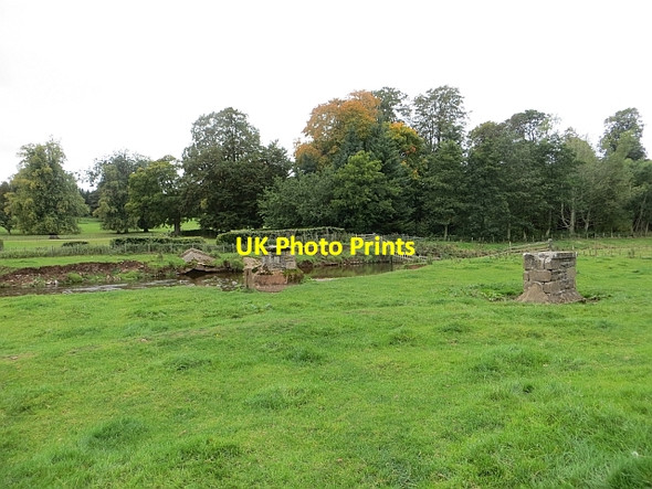 Photo 6"x4" Leader Water Lauder c2013