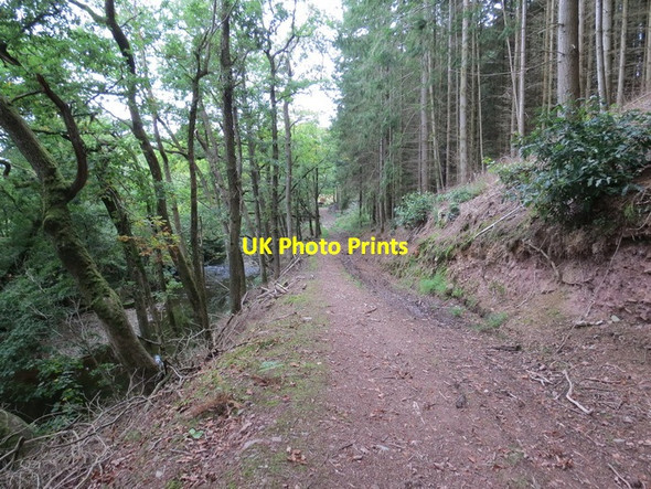 Photo 6"x4" Llwybr Allt Caeau Bychan Mawr Footpath Bont Fawr c2013