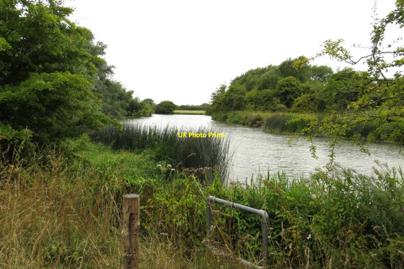Photo 6"x4" The River Thames by Farmoor Reservoir Farmoor\/SP4506 c2013