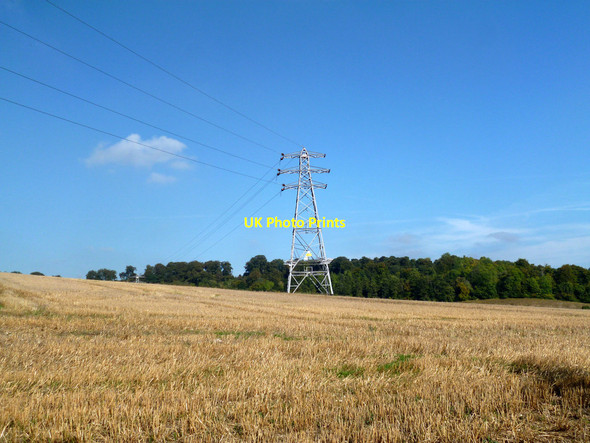 Photo 6"x4" Stubble & Cables, Mapledurham Collins End c2013
