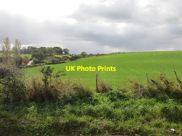 Photo 6"x4" Winter cereals, Stonefieldhill Carrington\/NT3160 c2013