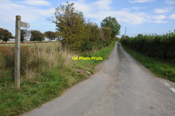 Photo 6"x4" Public byway Pont Llogel c2013