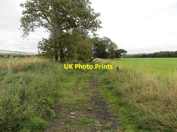 Photo 6"x4" Track near Carrington Carrington\/NT3160 c2013