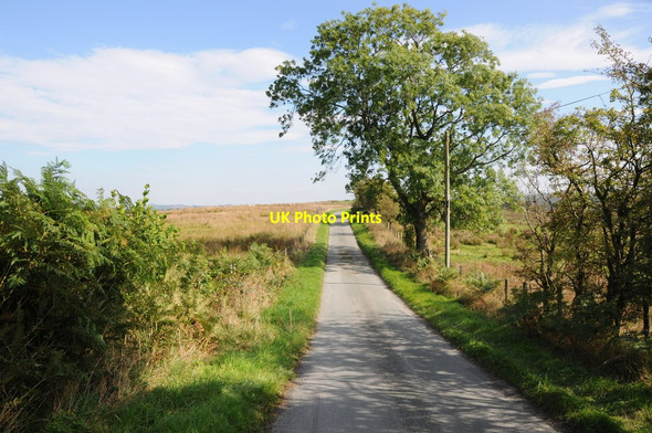 Photo 6"x4" Country road near Dyfnant Forest Pont Llogel c2013