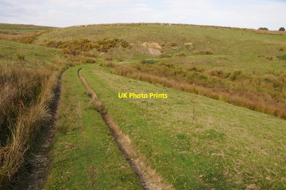 Photo 6"x4" Track across upland grazing Pont Llogel c2013