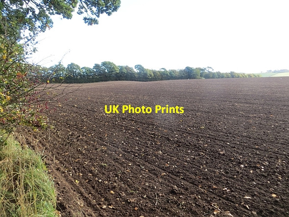 Photo 6"x4" Newly cultivated field, Tarrylaw Balbeggie c2013