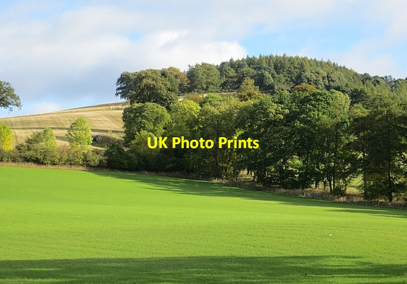 Photo 6"x4" Field beneath Bandirran Hill Kinrossie c2013