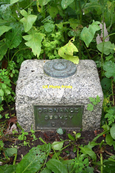 Photo 6"x4" Fundamental Bench Mark in Salisbury Field Dorchester\/SY6890 c2013