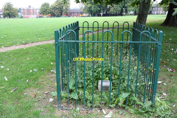 Photo 6"x4" Fundamental Bench Mark enclosure in Salisbury Field Dorchester\/SY6890 c2013