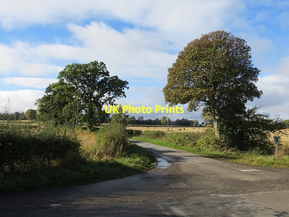 Photo 6"x4" Crossroads, Collace Saucher c2013