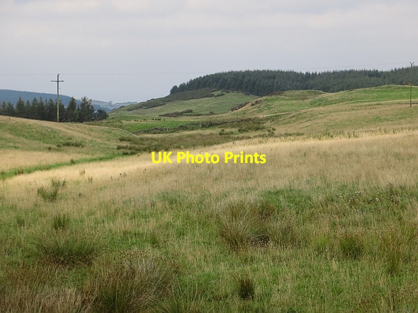 Photo 6"x4" Hill grazing near Plains Path of Condie c2013