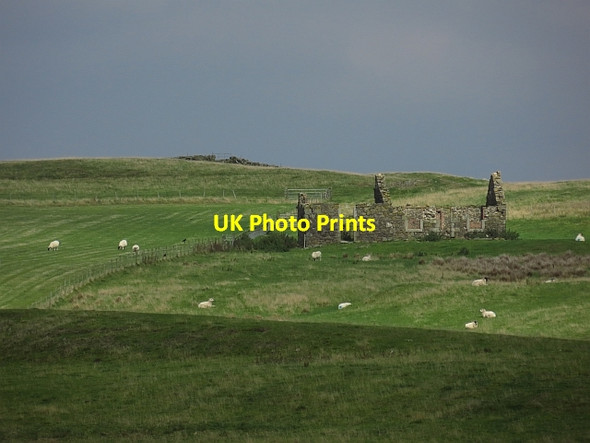 Photo 6"x4" Ruin on Arlick Hill Path of Condie c2013