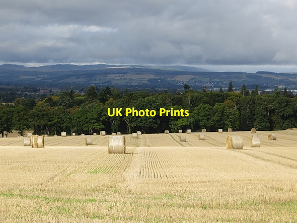 Photo 6"x4" Stubble, Leys Kettins c2013