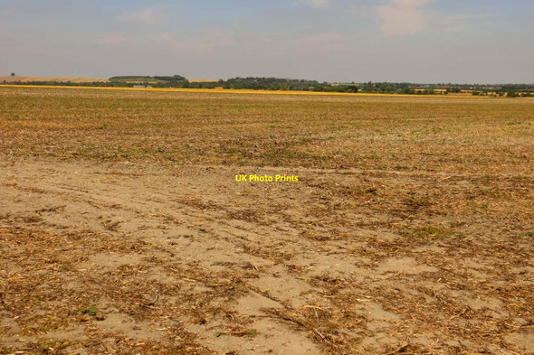 Photo 6"x4" Farmland near Cholsey Cholsey c2013