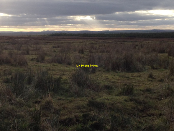 Photo 6"x4" Rough grazing at Scoolary Slickly c2013