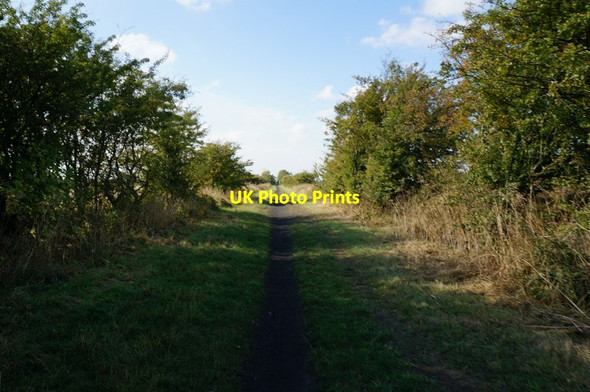 Photo 6"x4" The former Withernsea to Hull rail line Hedon c2013 P1