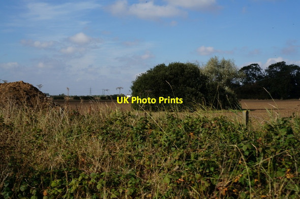 Photo 6"x4" A small copse, South Holderness Hedon c2013