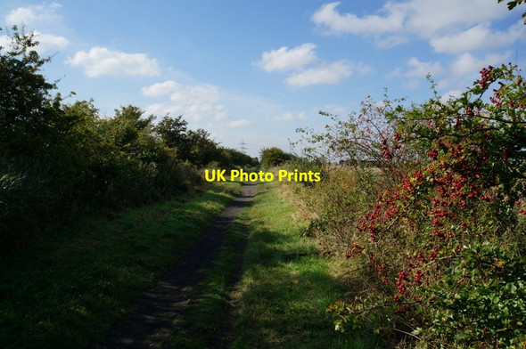 Photo 6"x4" The former Withernsea to Hull rail line Hedon c2013 P1