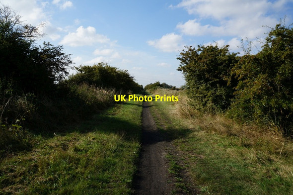 Photo 6"x4" The former Withernsea to Hull rail line Hedon c2013