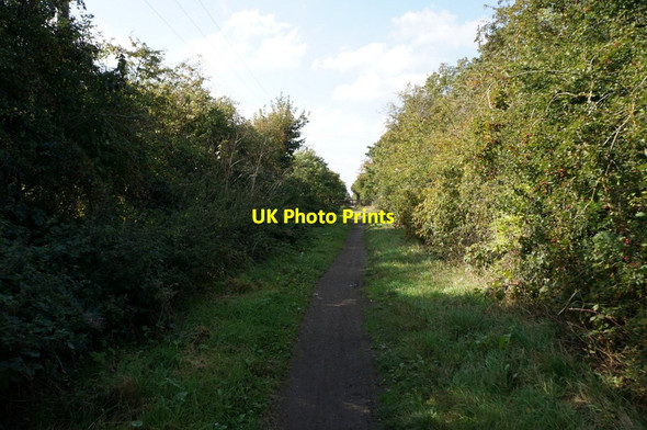 Photo 6"x4" The former Withernsea to Hull rail line Salt End c2013