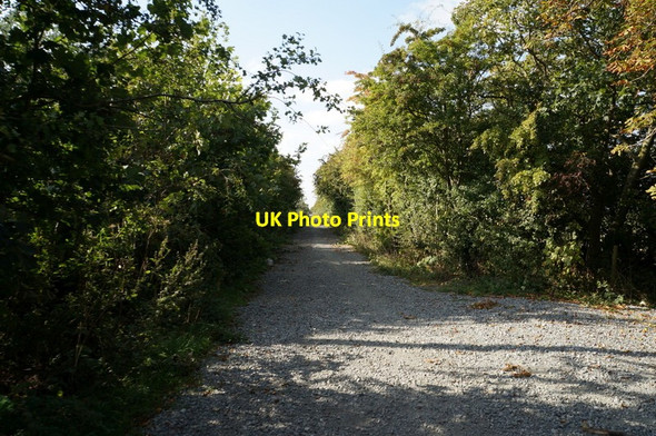 Photo 6"x4" The former Withernsea to Hull rail line Salt End c2013