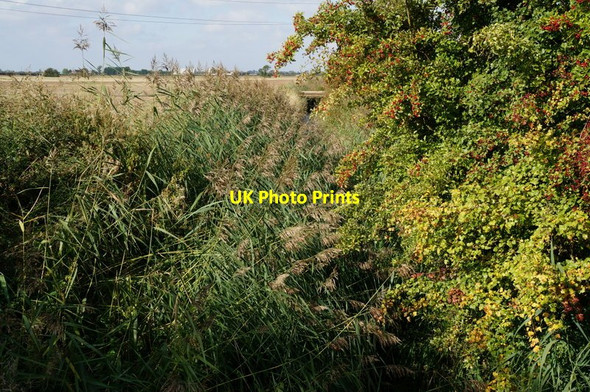 Photo 6"x4" Preston New Drain Salt End c2013