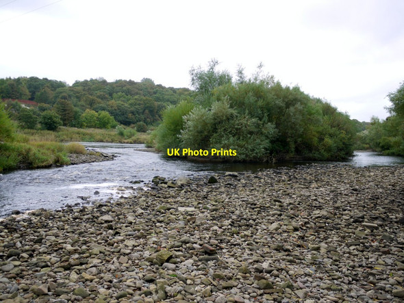 Photo 6"x4" Shingle islands on the River Tyne south of Ovingham Prudhoe c2013