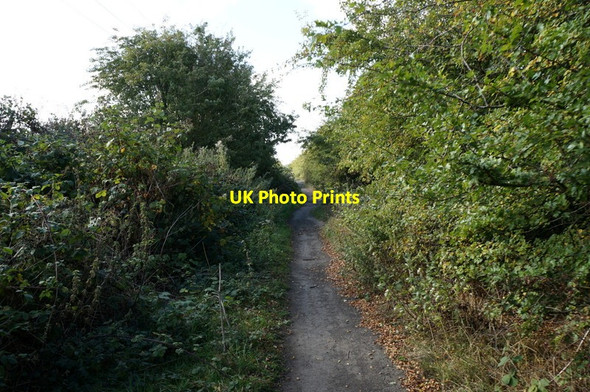 Photo 6"x4" The former Withernsea to Hull rail line Salt End c2013