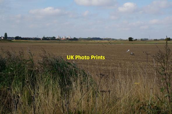 Photo 6"x4" The flat landscape of South Holderness Salt End c2013