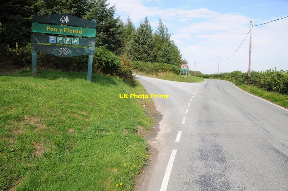 Photo 6"x4" Pen y Ffordd Wood, Dyfnant Forest Foel\/SH9911 c2013