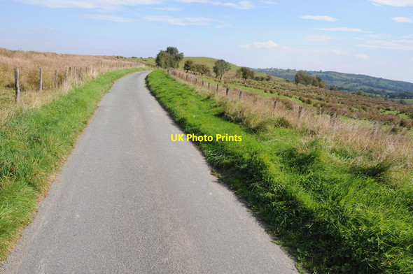 Photo 6"x4" Country road and Dyfnant Forest Pont Llogel c2013 P1