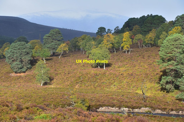 Photo 6"x4" Beinn Bhreac from Glen Quoich Inverey\/NO0889 c2013