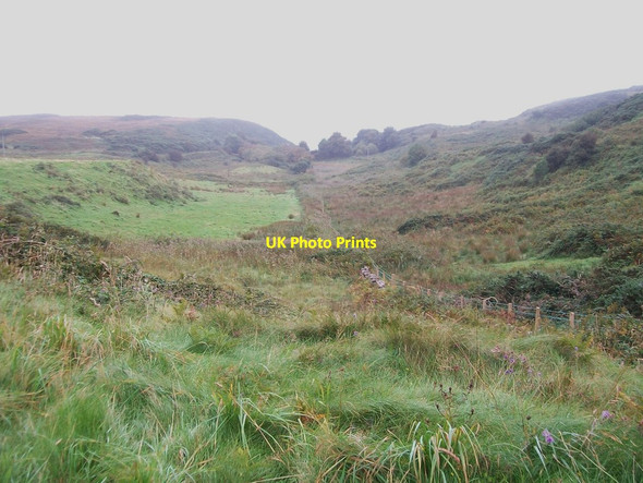 Photo 6"x4" Wildscape on Rathlin Ballycastle\/D1140 c2013