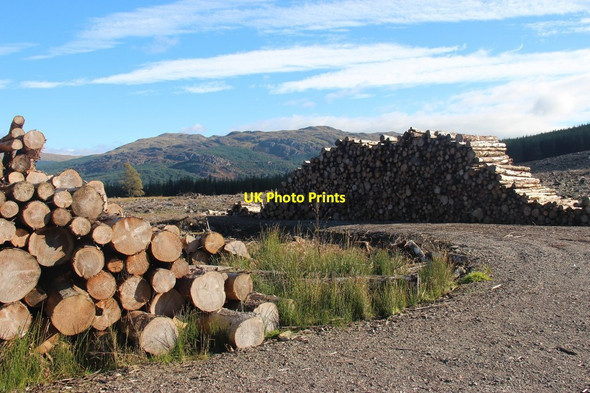 Photo 6"x4" Timber crop on An Leacan Eas M\u00f2r\/NS0481 c2013