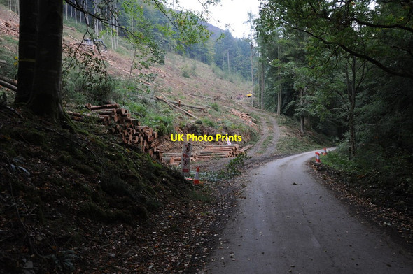 Photo 6"x4" Forestry work above Lake Vyrnwy Allt y Gribin c2013