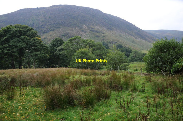 Photo 6"x4" Valley near Pont Rhiwargor Alltforgan c2013