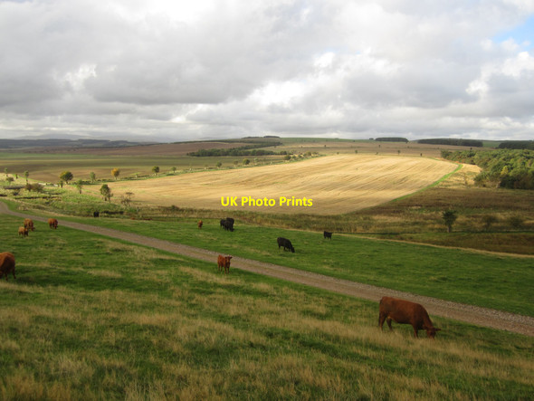 Photo 6"x4" Looking across the Hetton Burn valley East Horton c2013