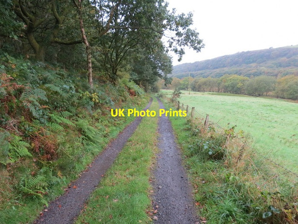 Photo 6"x4" Heol Llwyn Erch Idwal Road Cefn-y-Garth\/SN7000 c2013