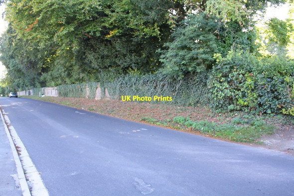 Photo 6"x4" Syward Road Dorchester\/SY6890 c2013