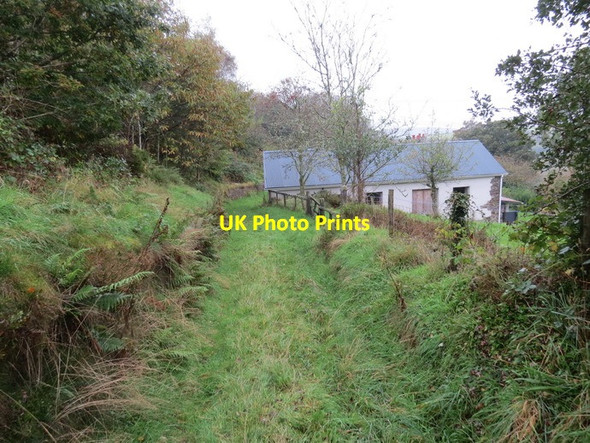 Photo 6"x4" Llwyn erch Idwal Cefn-y-Garth\/SN7000 c2013