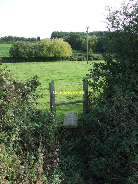 Photo 6"x4" Stile Through Hedge Shop Corner c2013