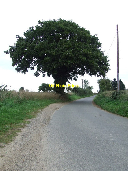 Photo 6"x4" Bylam Lane Chelmondiston c2013