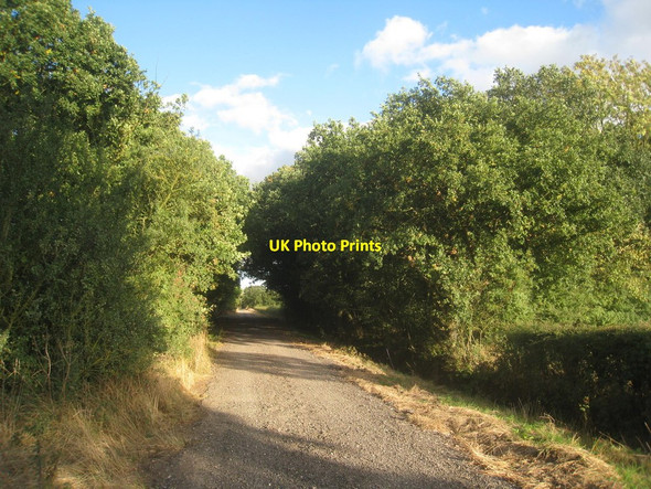 Photo 6"x4" Track to Greave's End Bursea c2013