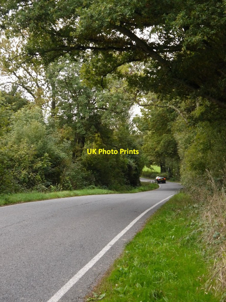 Photo 6"x4" Brockhamhurst Road, passing High Ridge Wood Blackbrook\/TQ1846 c2013