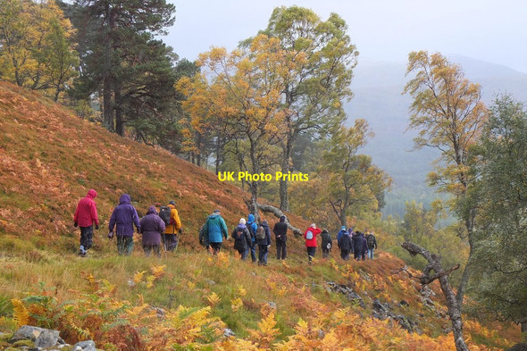 Photo 6"x4" Path below Craig Leek, Invercauld Garbh Allt Shiel c2013