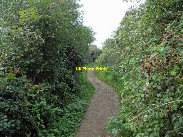 Photo 6"x4" South West coast path near Newporth Head Falmouth c2013
