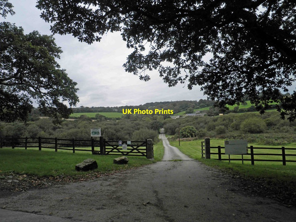 Photo 6"x4" Farm track (and bridleway) to Tregedna Farm Falmouth c2013