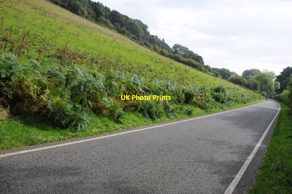 Photo 6"x4" Road around Lake Vyrnwy Ffynnon Dogfan c2013