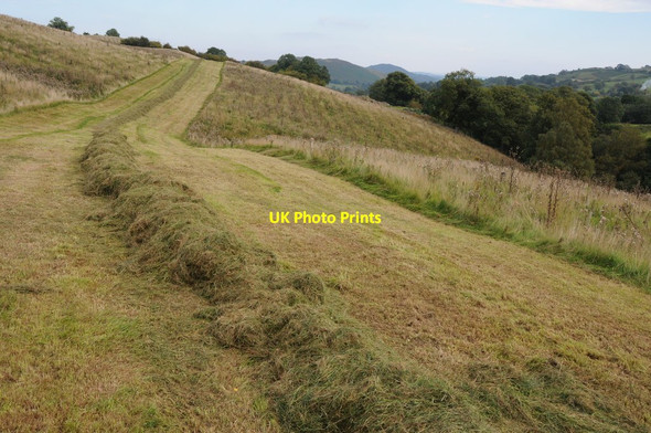 Photo 6"x4" Mown headland Dolanog c2013