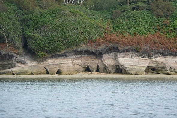 Photo 6"x4" Cliffs on Green Island Arne c2008